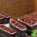 Desain tanpa judul (34)